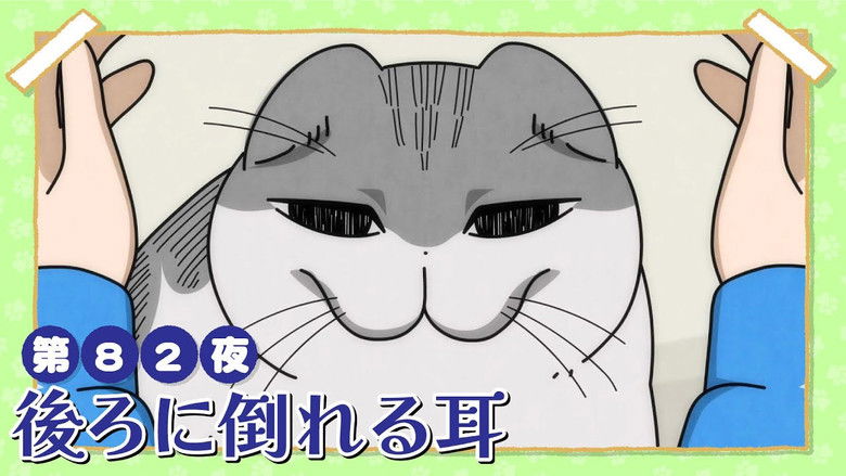 Still image for Nights with a Cat season 1 episode 82: Night 82: Ears Folded Back