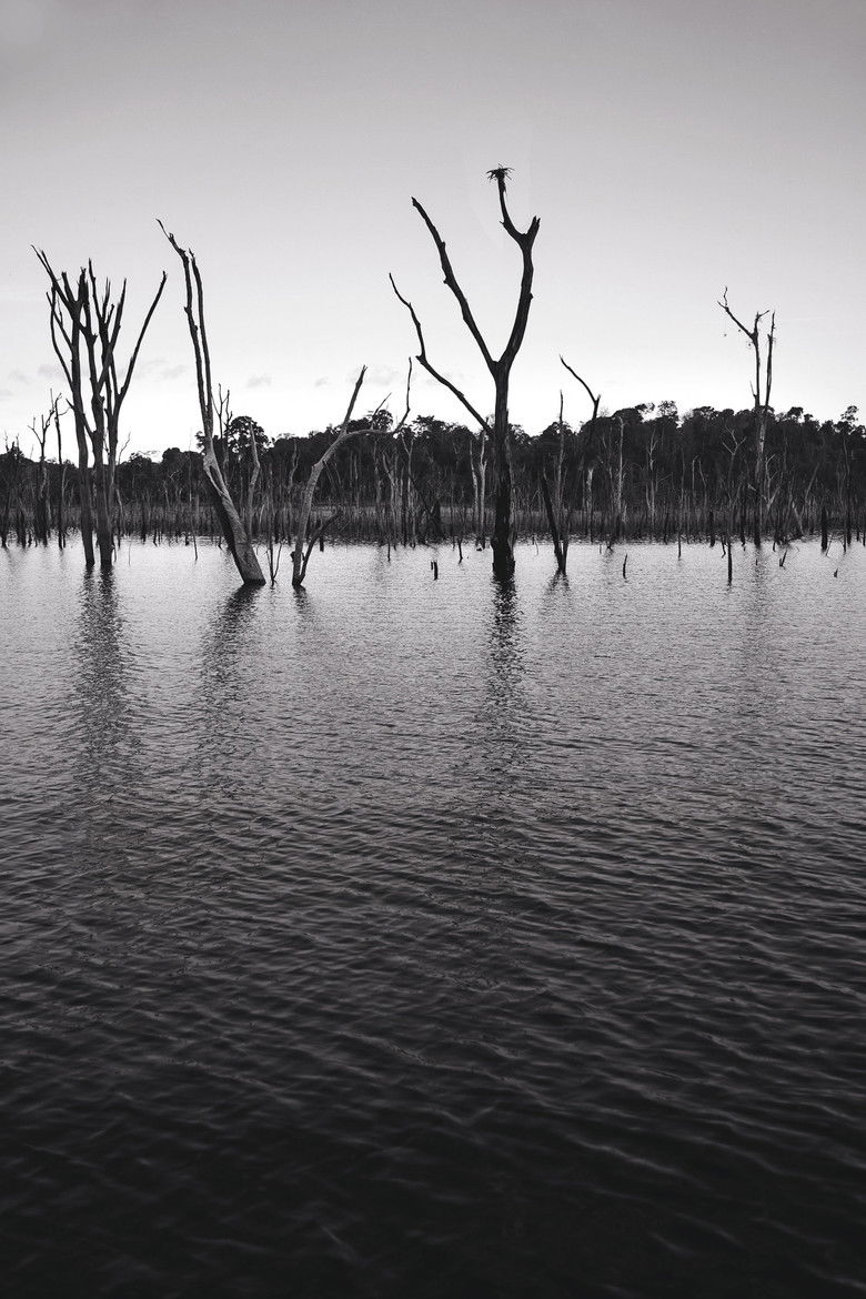 Imatge de O Reflexo do Lago