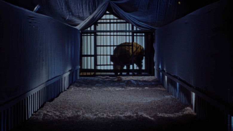 Image d'arrière-plan 3 du film Gongofer