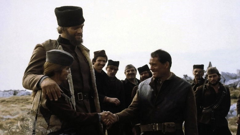 Backdrop de Navarone Collection