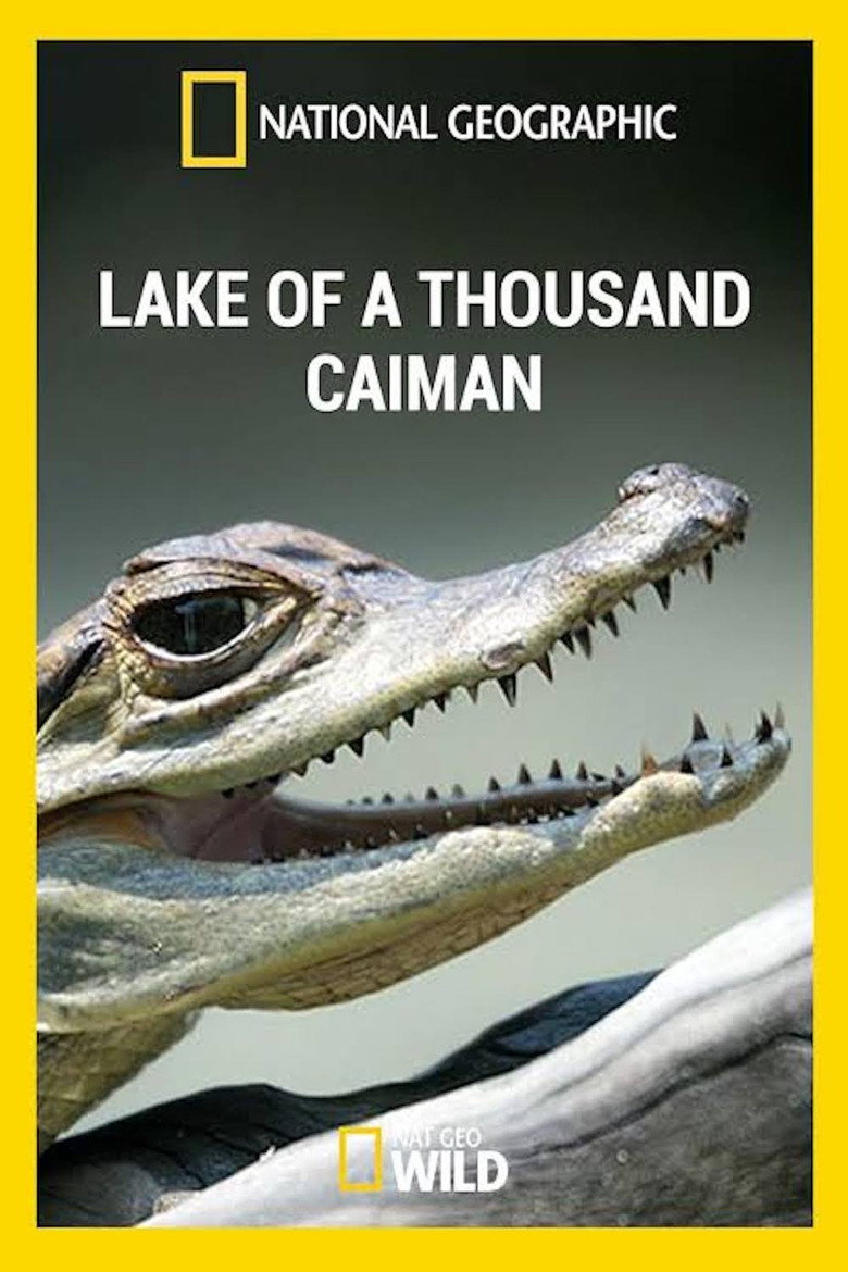 Lake of A Thousand Caiman background