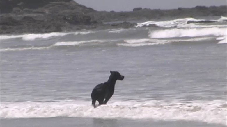 Gallery image from pZCgtlS1ZVUhqL2y0tAq5hW2CSS.jpg