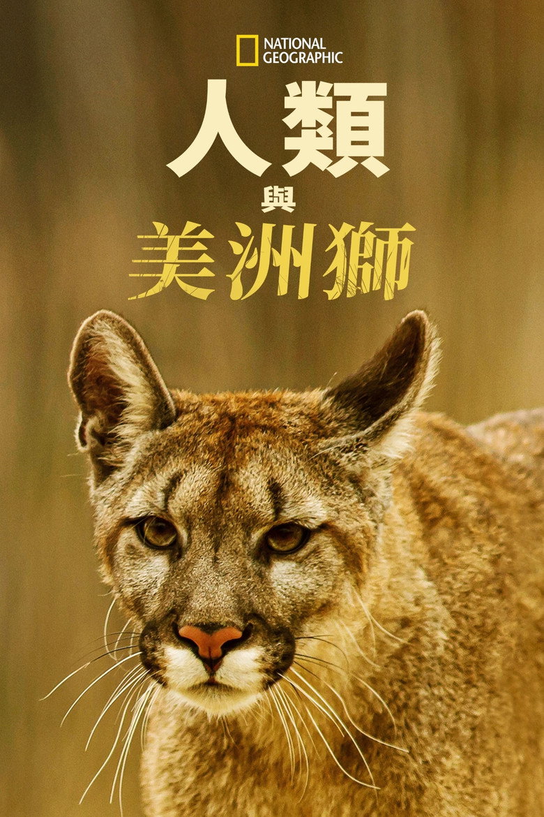 对战美洲狮 (2018)-光鸭·臻影社