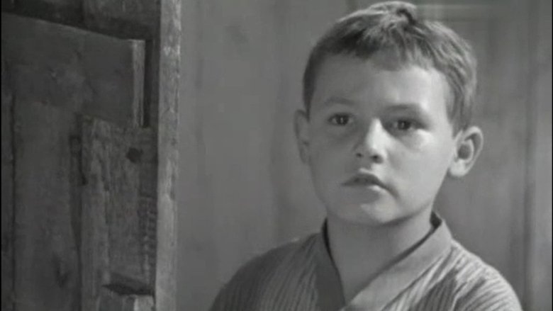 Gallery image from pZuSYgWUwgPCfN3jWBXezd5kY8B.jpg