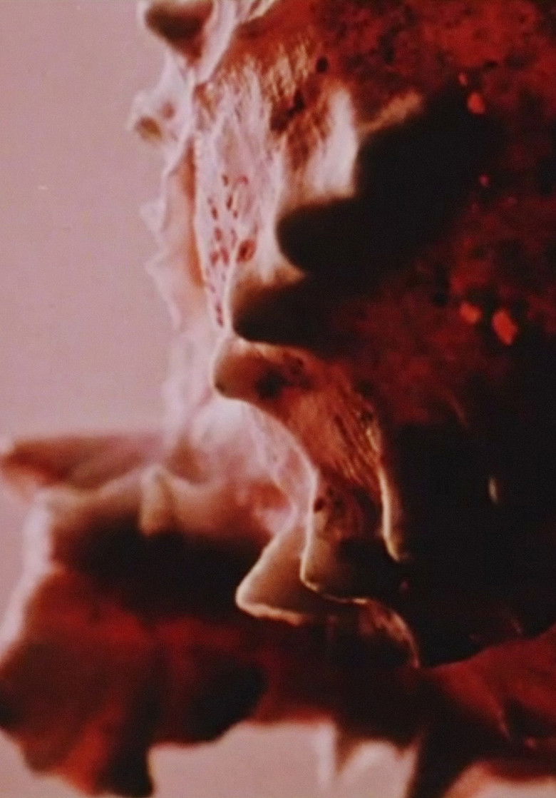 Imatge de Private Property (Public Domain)