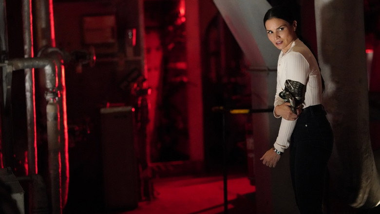 NCIS : Enquêtes spéciales Saison 23 Épisode 15 Voirfilms