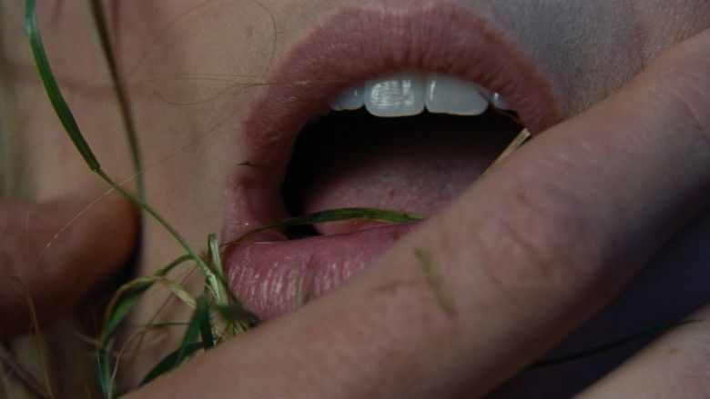 Pacrkhvhe5v2qawdyc2pncnv7jg