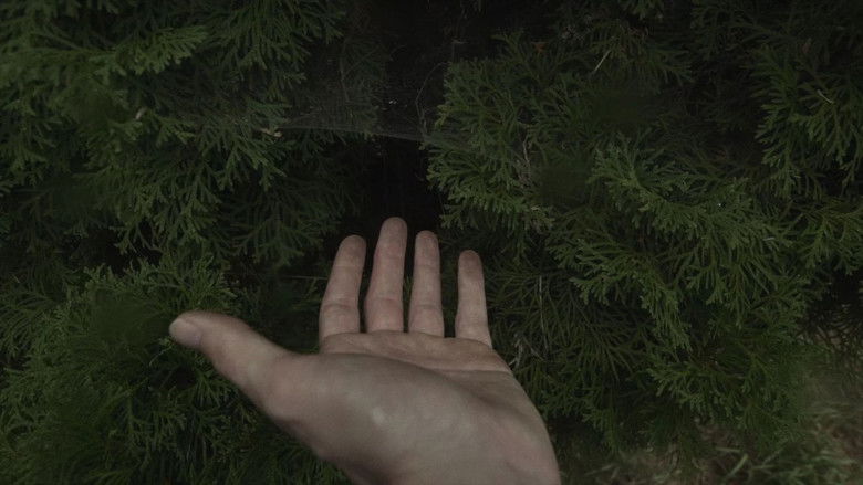 las-líneas-de-mi-mano