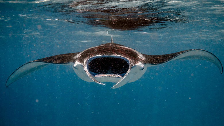 Gallery image from paXHaNnZ2xkXgIqo4FxRdO39oAw.jpg