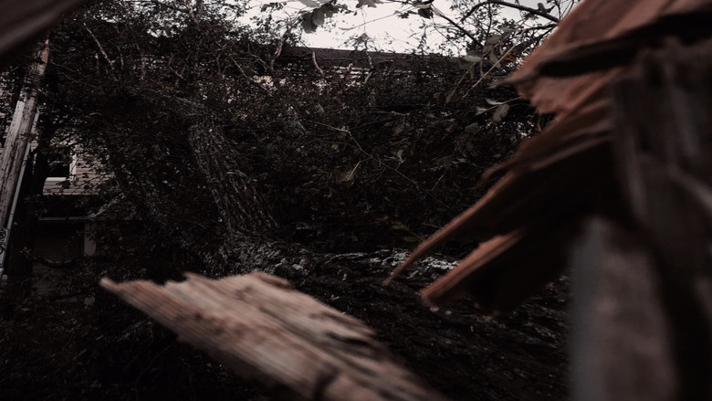 Gallery image from pb3YDJIUsezV6naWnLr1xb1umwp.jpg