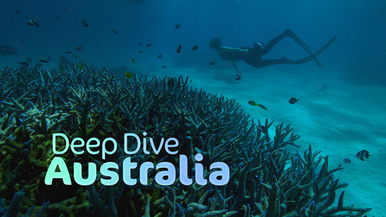Deep Dive... 6
