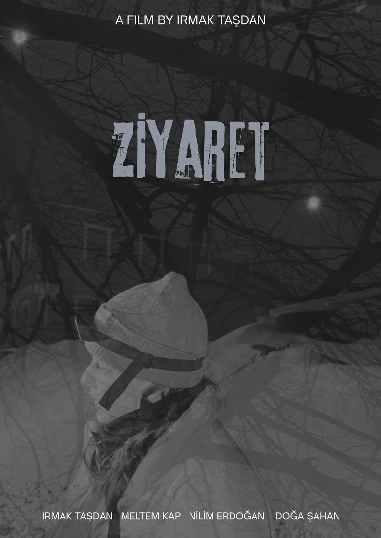 Ziyaret