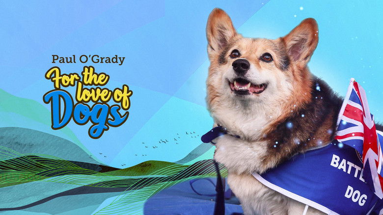 Gallery image from pcNHhVW66b1TJDdrgY7IhNLO0Cp.jpg