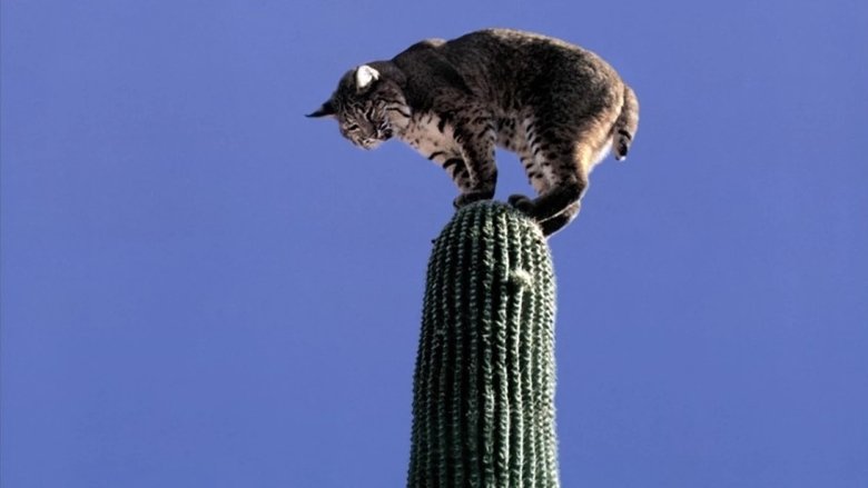 The Living Desert (1953)