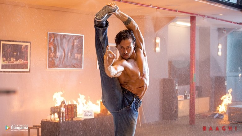 Baaghi (2016)
