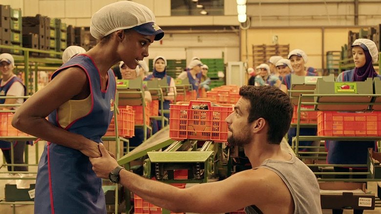 Still image for Mar de plástico season 1 episode 9: La Fosa Still image for Mar de plástico season 1 episode 9: La Fosa