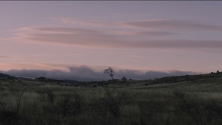 A Place to Go (2023)