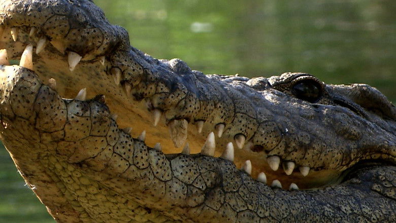 Still image for Deadly Hunters season 1 episode 1: Deadliest Jaws Still image for Deadly Hunters season 1 episode 1: Deadliest Jaws