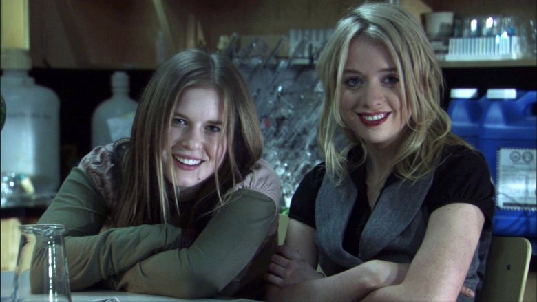 Devil's Diary (2007)