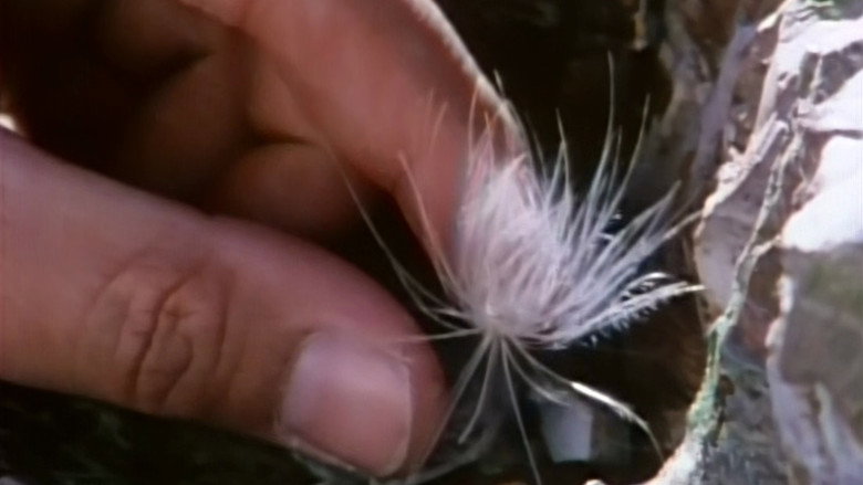 Still from Cosmos: A Personal Voyage - ซีซัน 1 ตอน 13