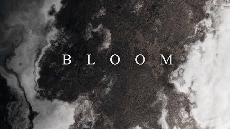 Fons de BLOOM