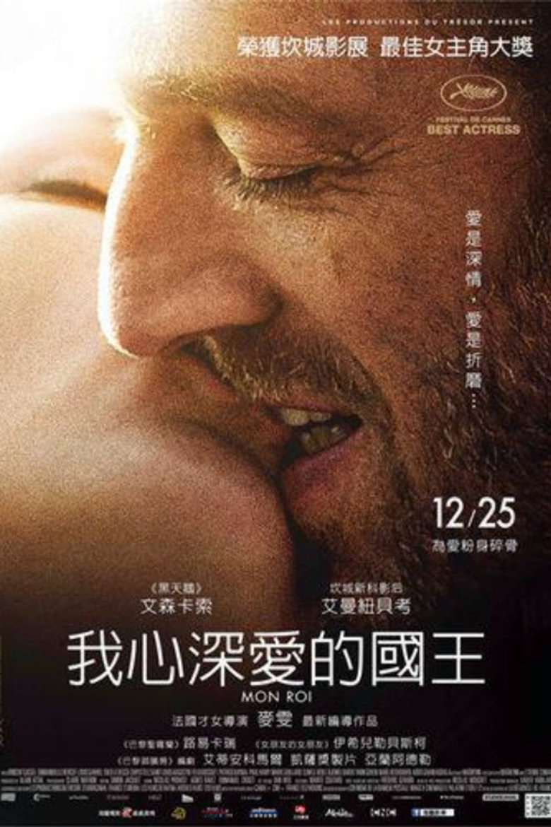 我的国王 封面海报