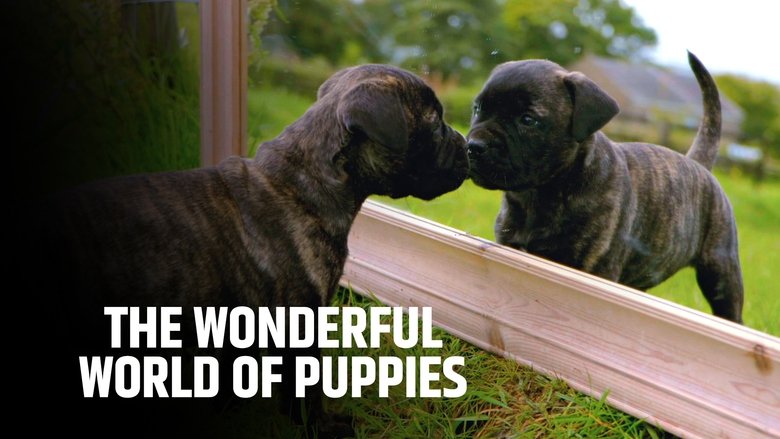 The Wonderful World of Puppies