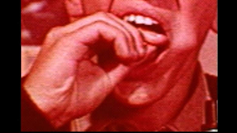 Gallery image from piOPf3Ofg0ju9k9MrHDRCkdnkOk.jpg