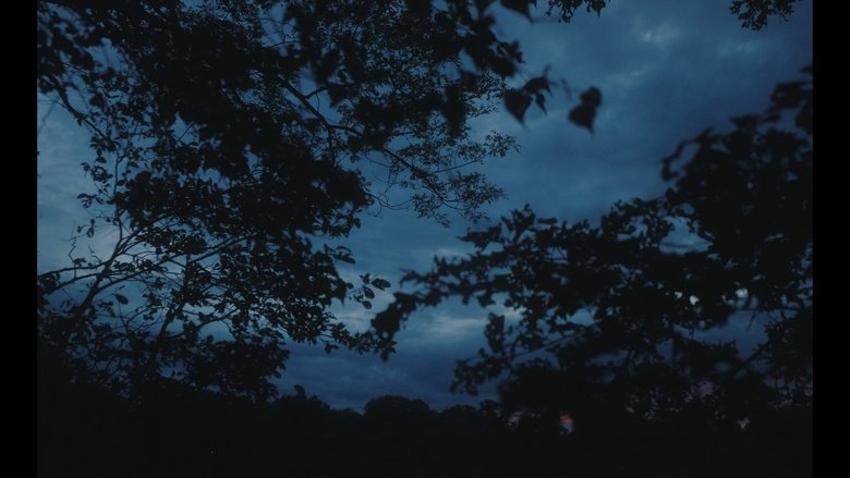 Gallery image from pj2V7cgwvqSKBO3uDHkpkxYlTzv.jpg