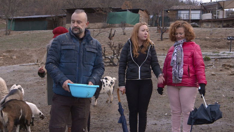 Still image for Bienvenidos a mi Hotel season 1 episode 14: Episode 14