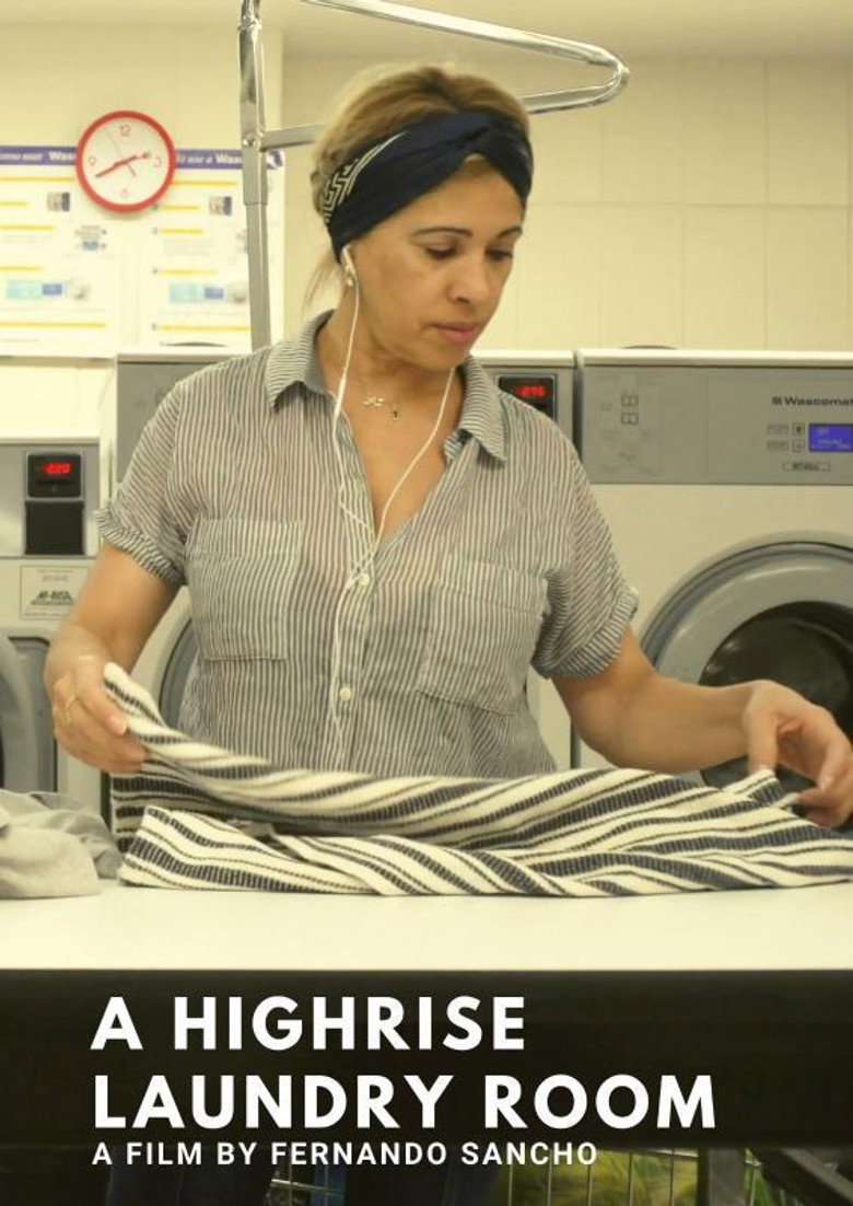 A Highrise Laundry Room background
