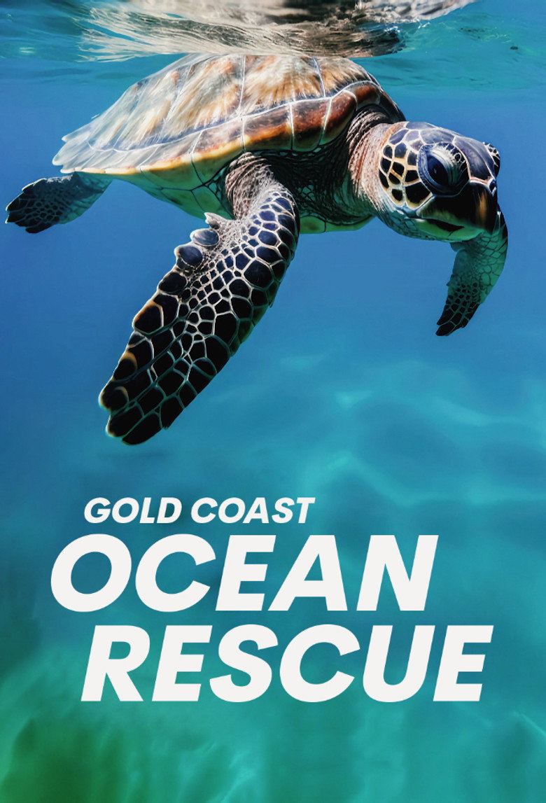 Official poster for Gold Coast Ocean Rescue