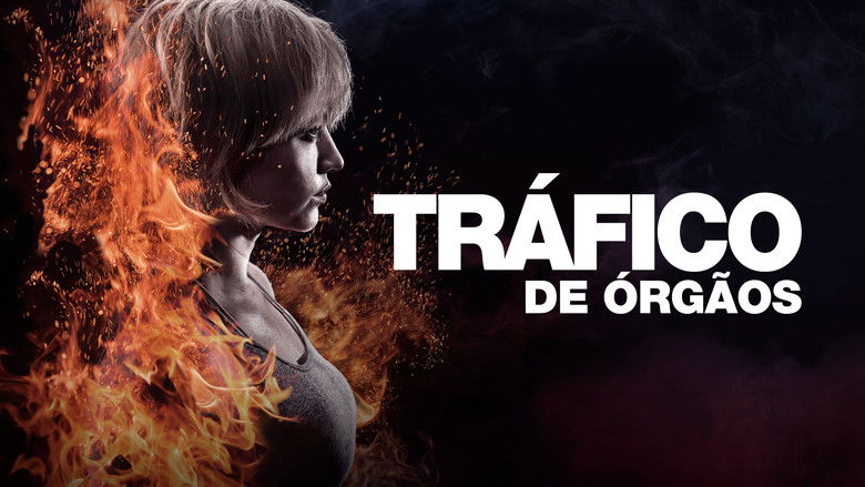 Gallery image from pk7qx2R9wgxDHyDQUrph7mWtbvd.jpg