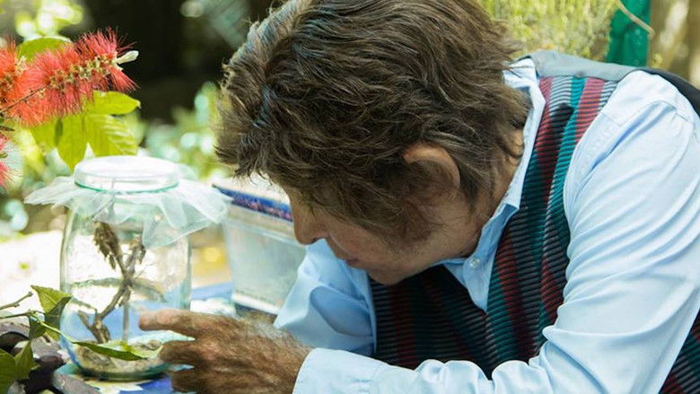 Gallery image from pkYXfCRf0Rttv1SaEDelDszUG2X.jpg