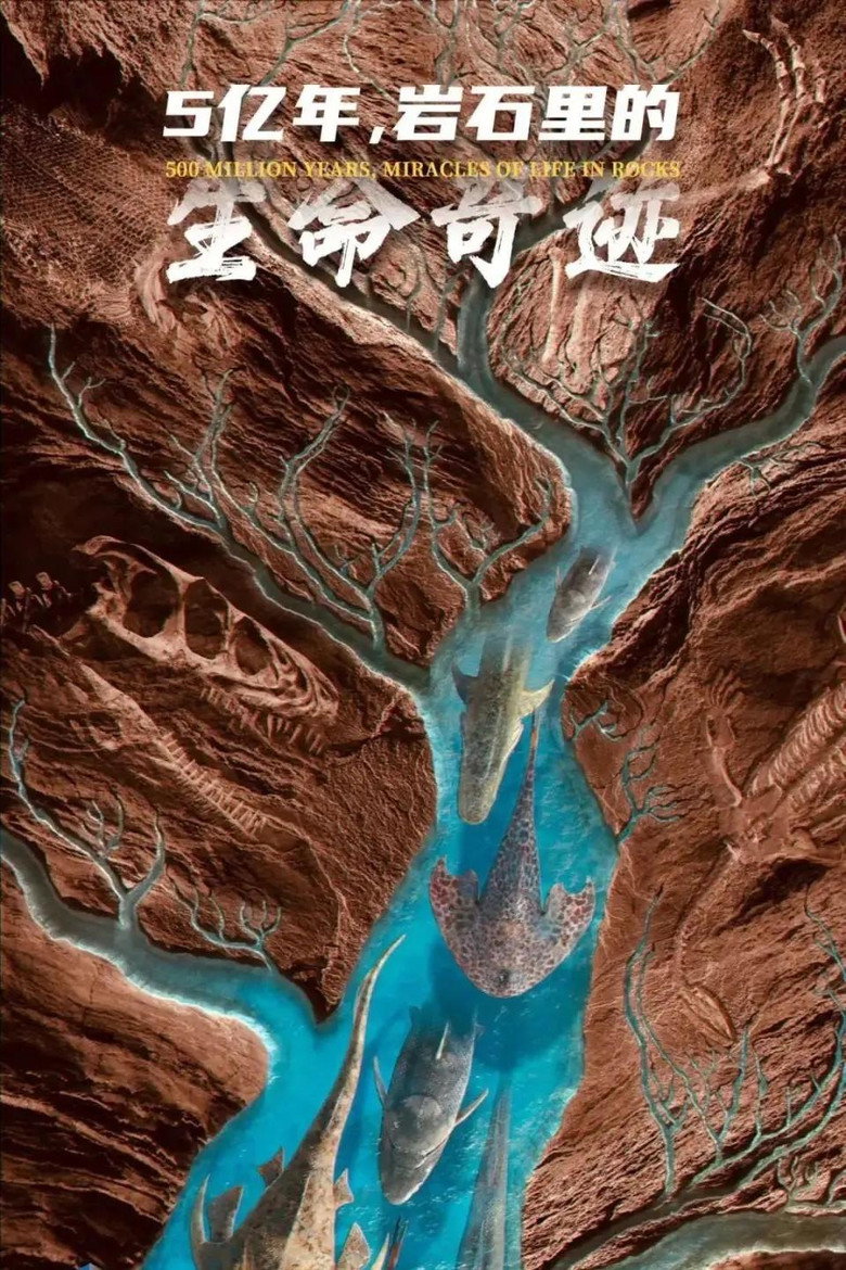 Official poster for 5亿年,岩石里的生命奇迹
