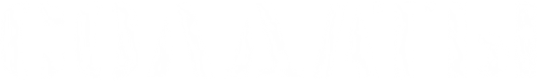 Солдаты 2