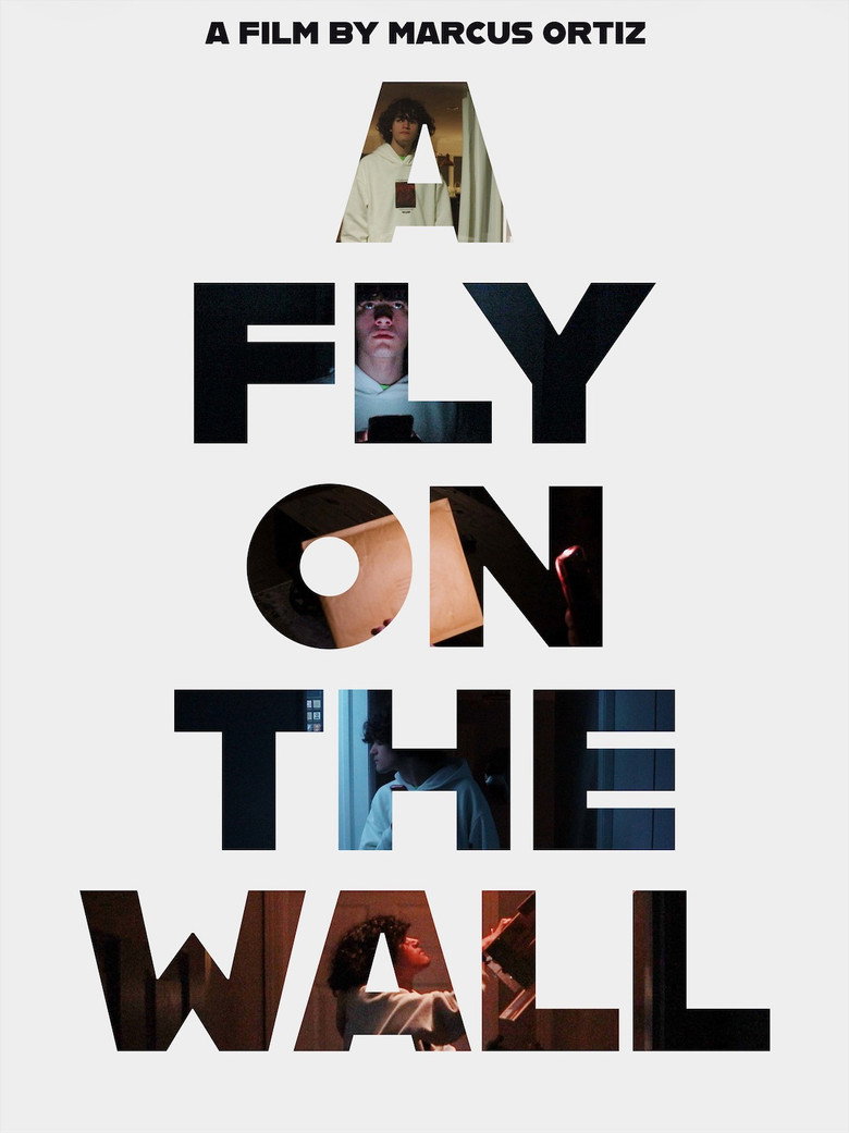 A Fly On The Wall