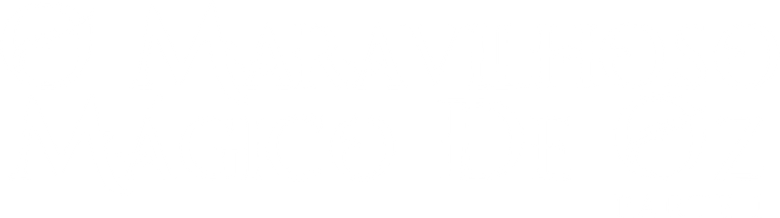 O Maravilhoso Mágico de Oz - Parte 1