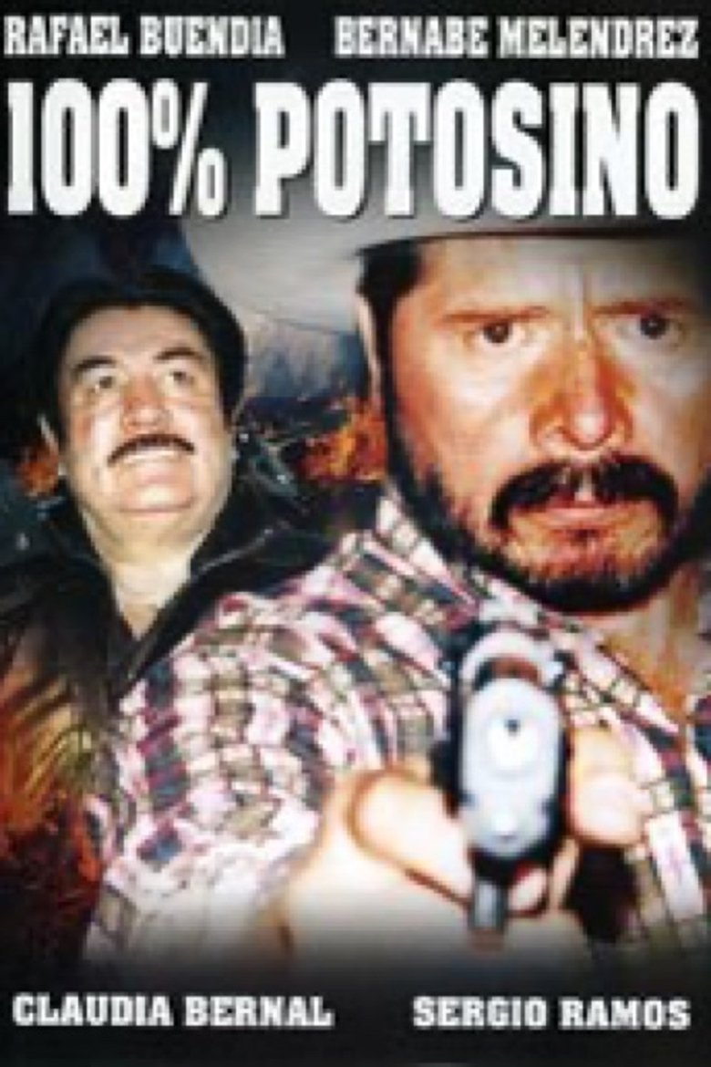 100% potosino main poster