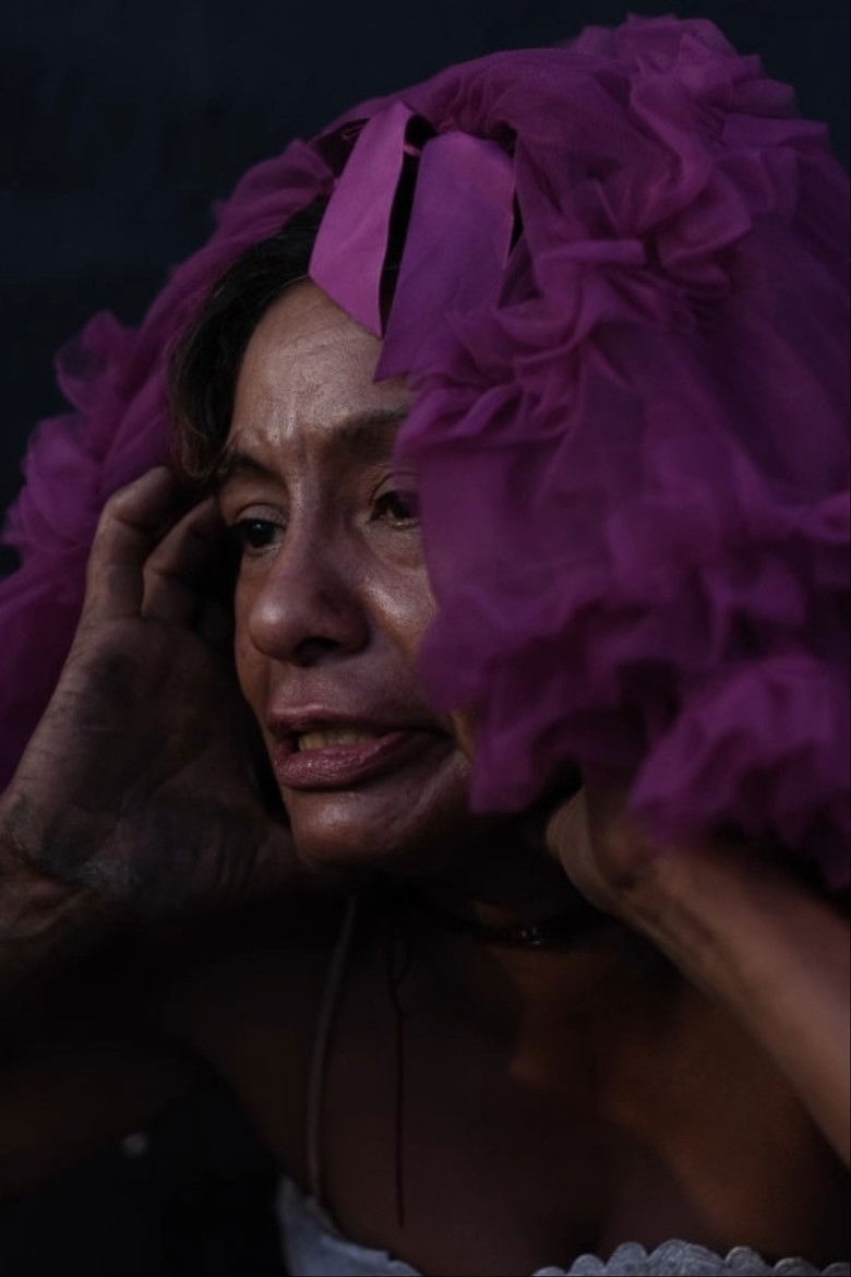 Imatge de The Soiled Doves of Tijuana