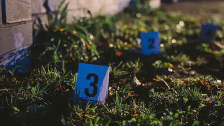 Still image for Tajemnice polskich morderstw season 1 episode 3: Episode 3