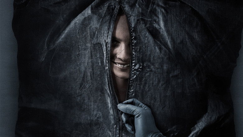 Backdrop de Smile Collection