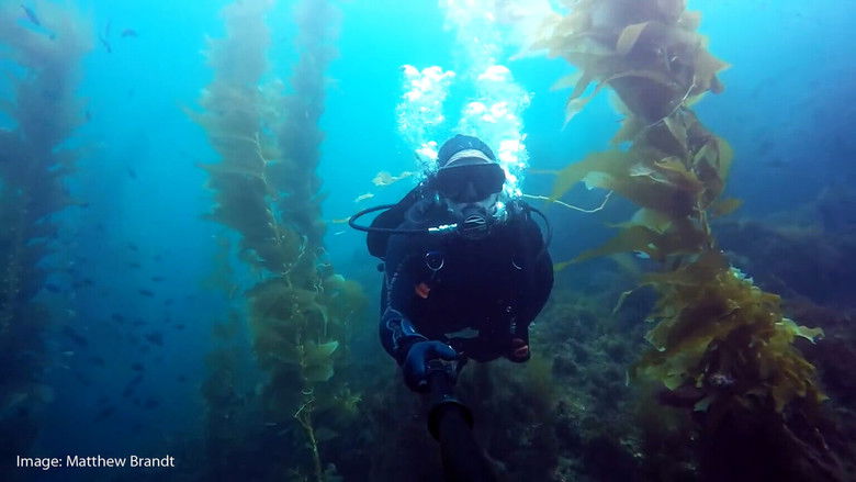 Still image for Zeroing In: Carbon Neutral 2050 season 1 episode 6: Turning the Tide Still image for Zeroing In: Carbon Neutral 2050 season 1 episode 6: Turning the Tide