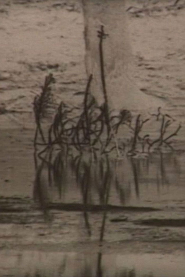 Imatge de 夜の太陽