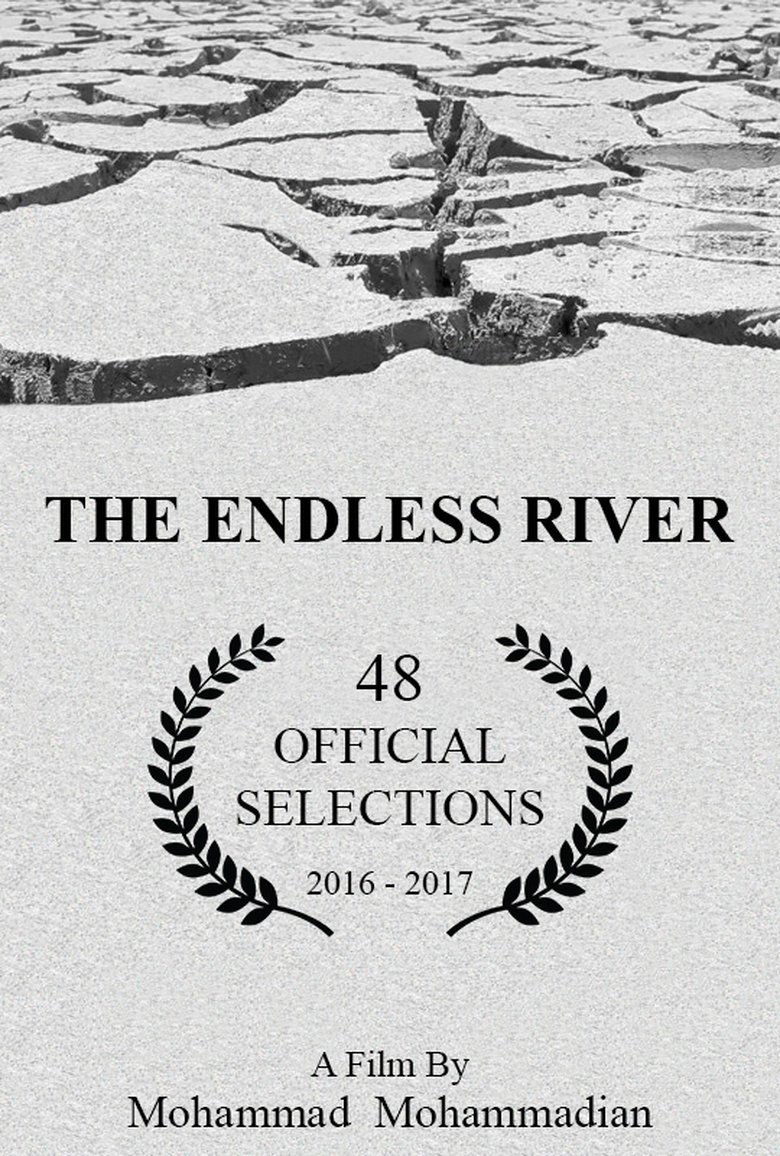 The Endless River main poster