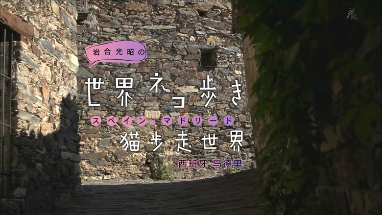 Still image for Mitsuaki Iwago's World “Cats” Travelogue season 1 episode 28: Madrid, Spain Still image for Mitsuaki Iwago's World “Cats” Travelogue season 1 episode 28: Madrid, Spain