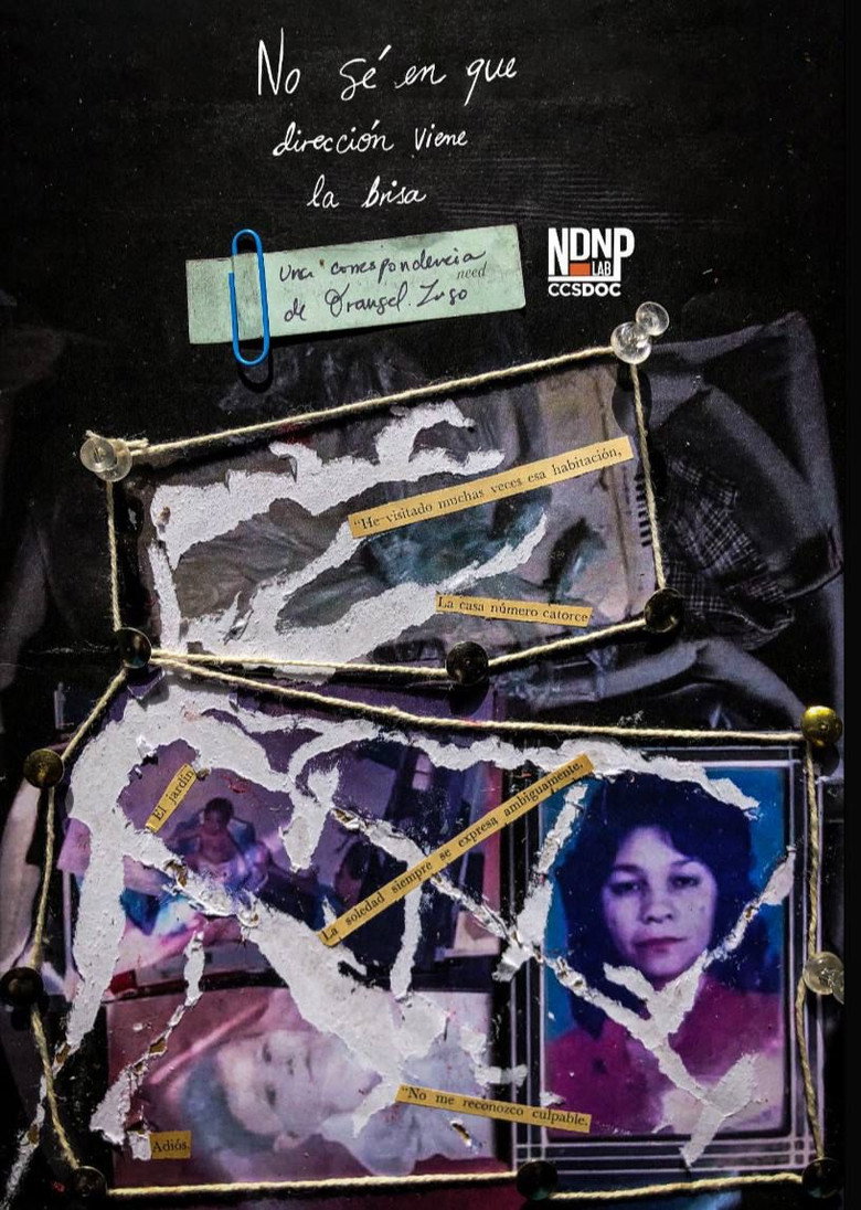 Imatge de No sé en que dirección viene la brisa