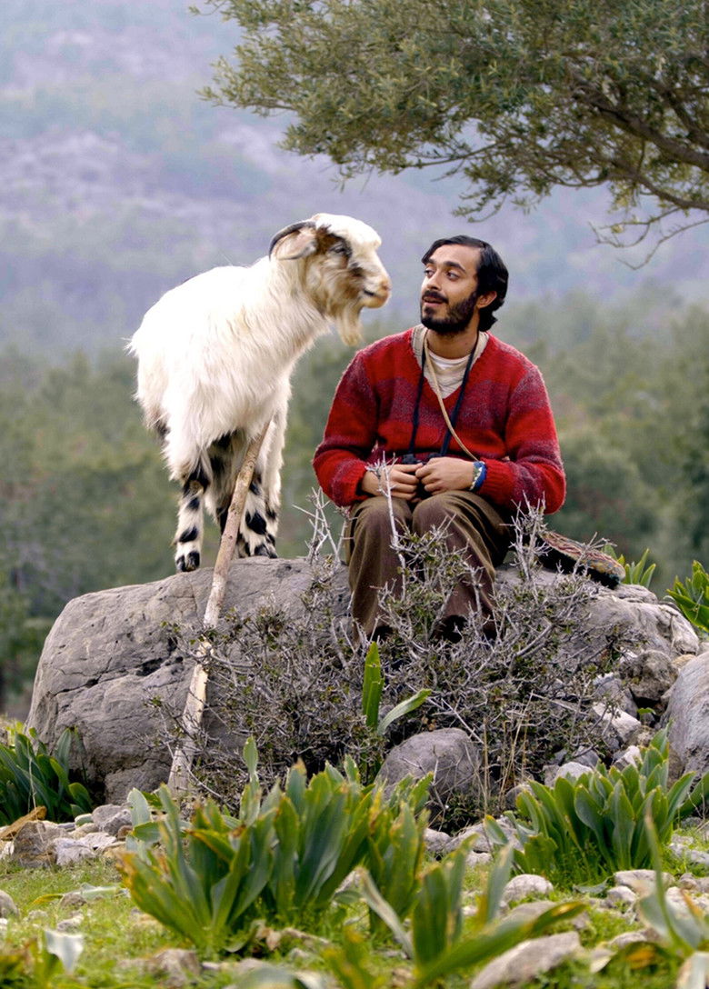 Imatge de Turna Misali