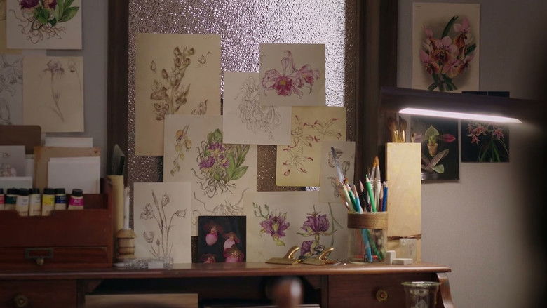 Gallery image from ppZIMxVBL9QRgx82Pq76FC2Dm7i.jpg