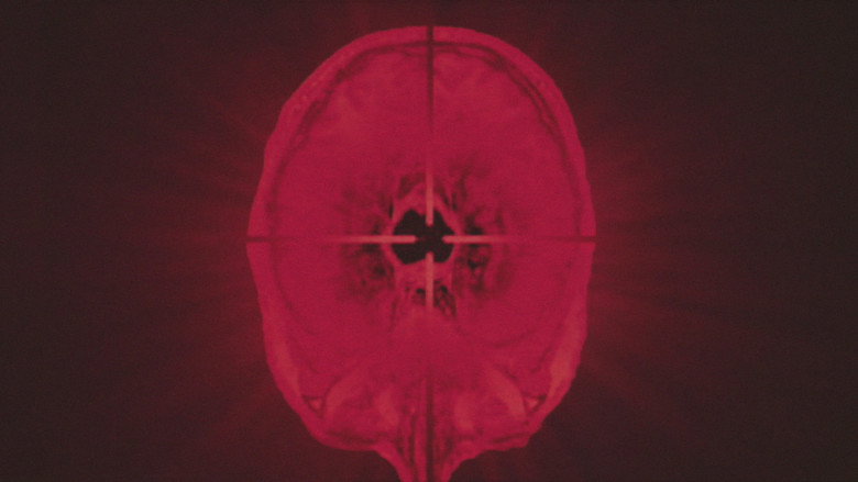 Imatge de Devil's Club